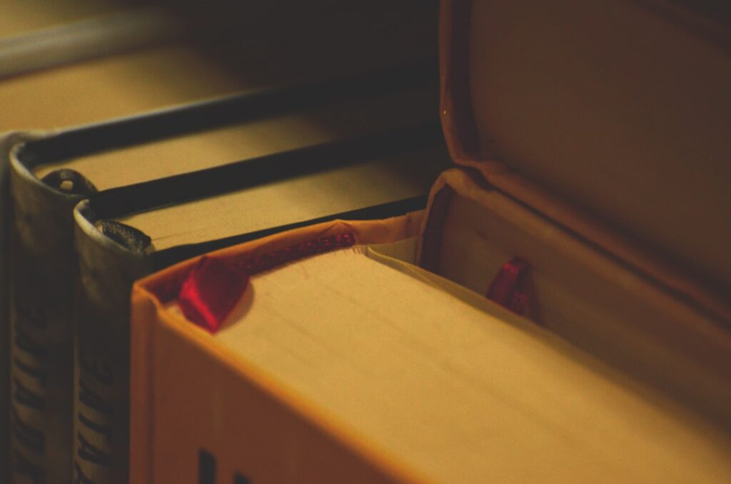 Seedance 2.0 - brown and black hardbound books